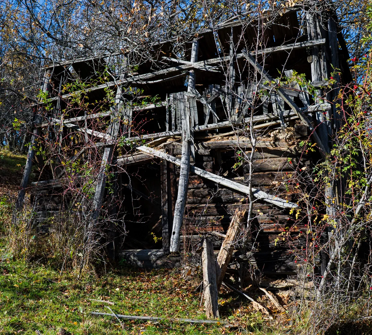 Portofoliu Fotografie 10