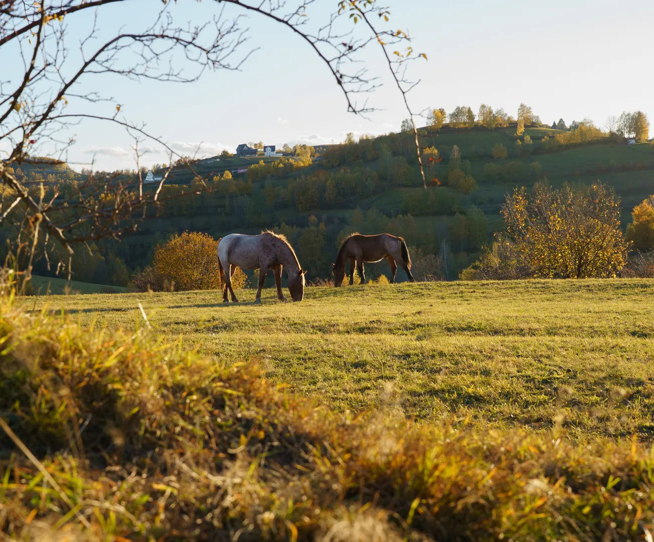 Portofoliu Fotografie 3