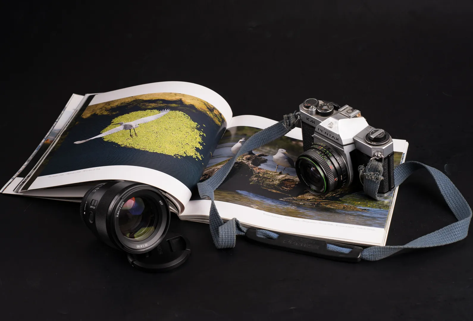 Portofoliu Fotografie 5