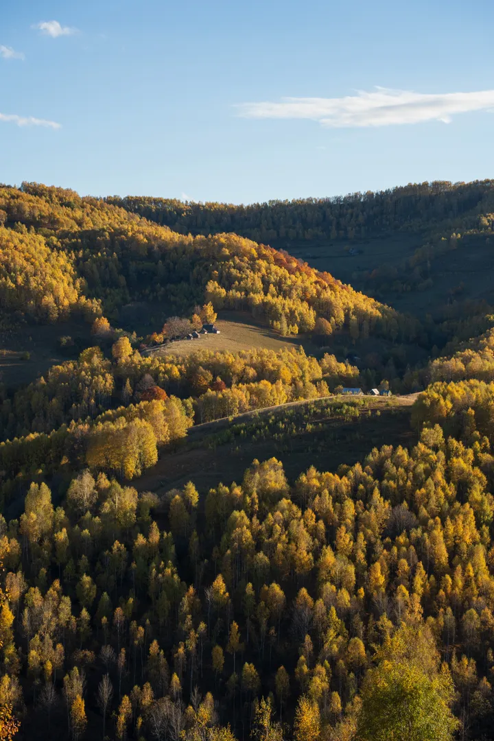 Portofoliu Fotografie 8